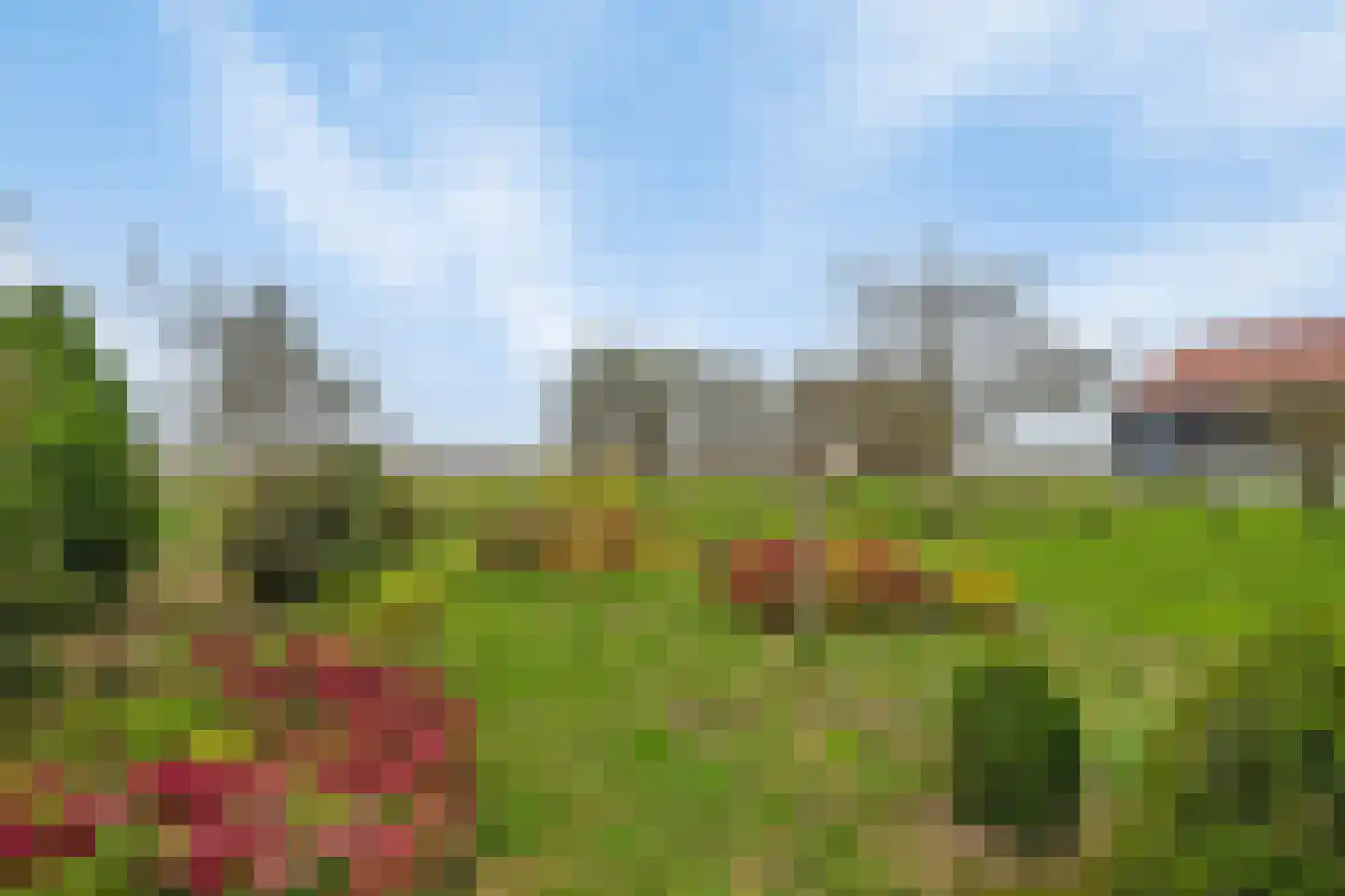 Diomedeweg 2 Retranchement thumbnail 23
