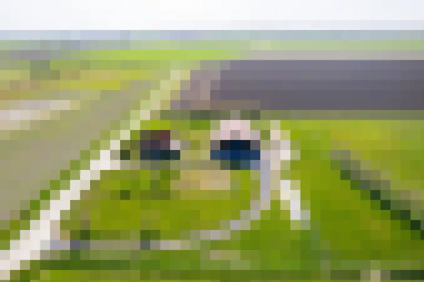 Diomedeweg 2 Retranchement thumbnail 4