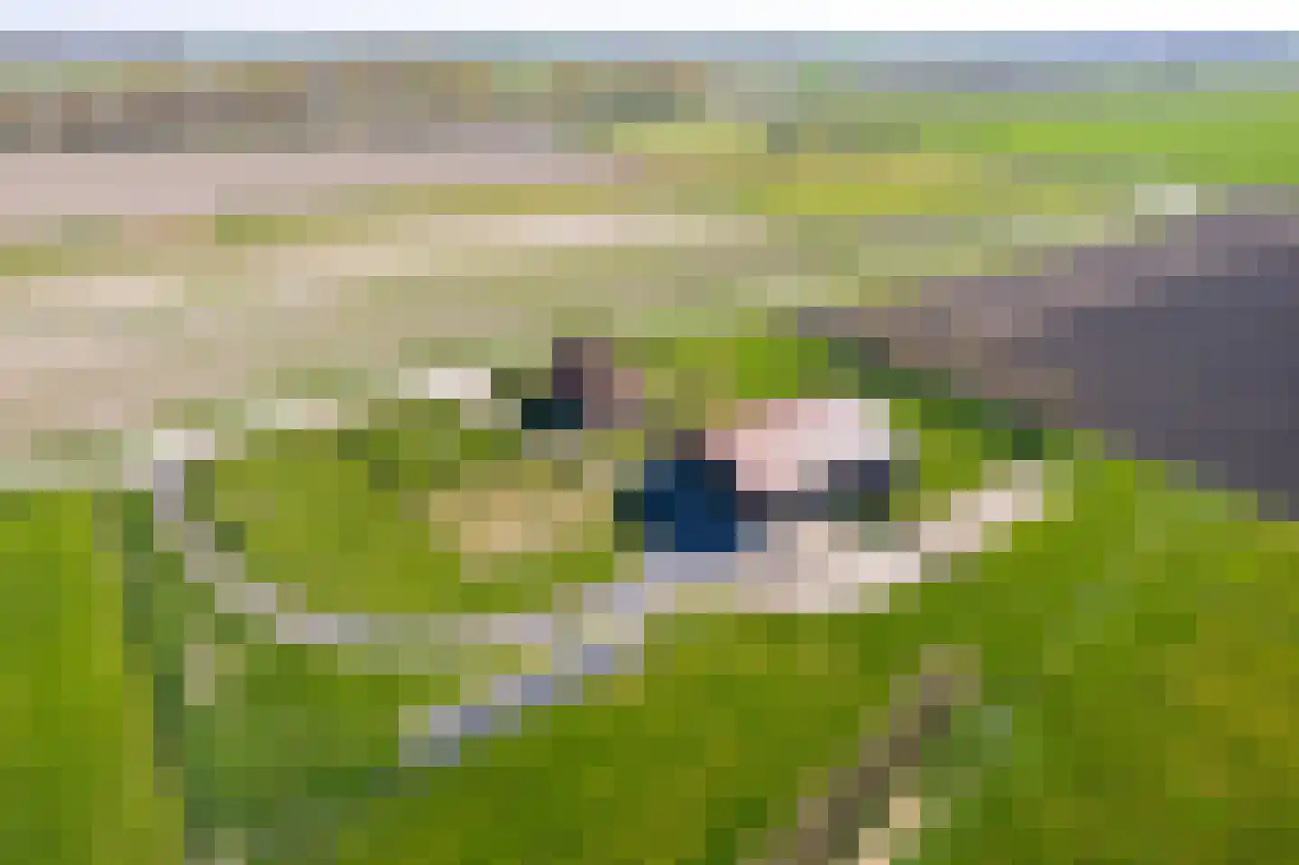 Diomedeweg 2 Retranchement thumbnail 5