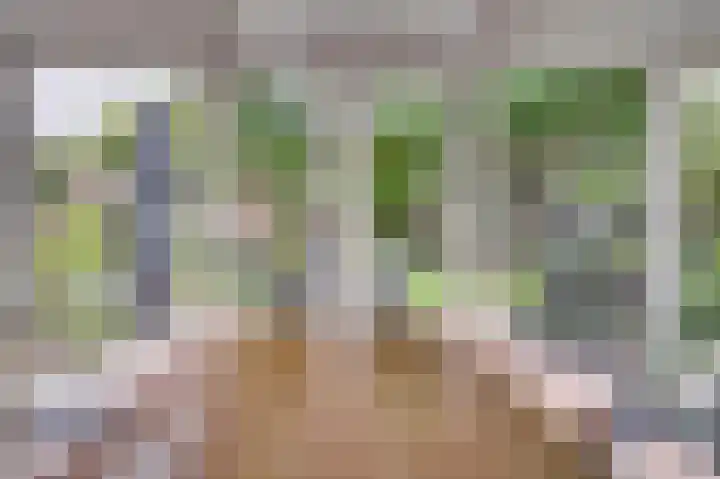 Dionisiusstraat 15 Oirlo thumbnail 15