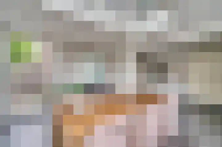 Dionisiusstraat 15 Oirlo thumbnail 18
