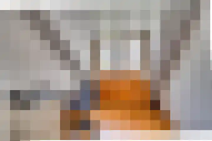 Dionisiusstraat 15 Oirlo thumbnail 31