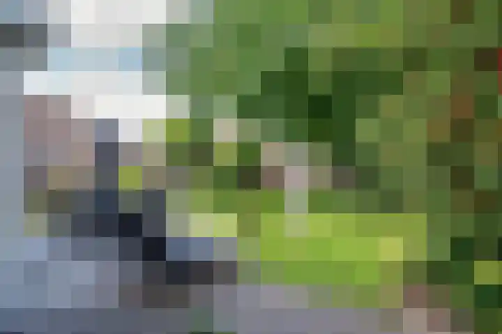 Dionisiusstraat 15 Oirlo thumbnail 34