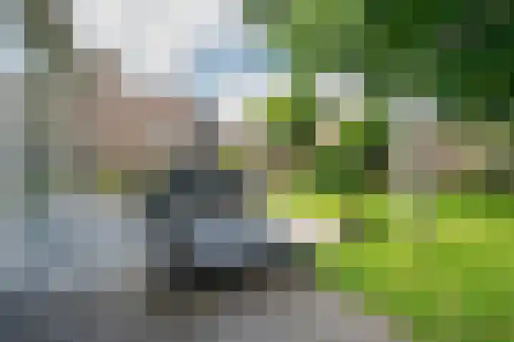 Dionisiusstraat 15 Oirlo thumbnail 35