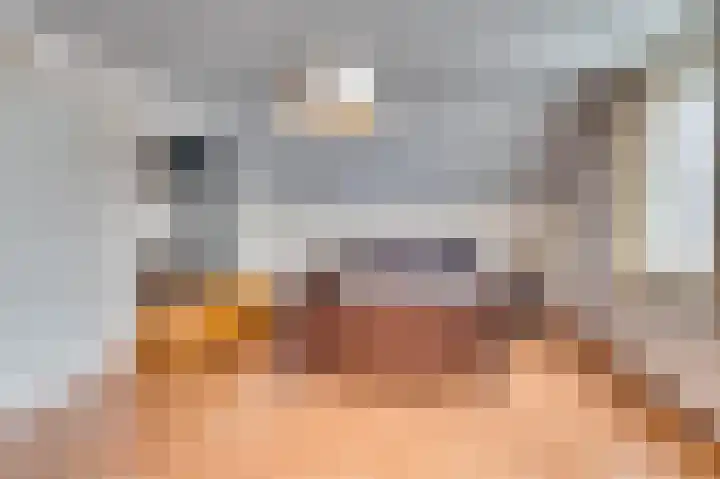 Dionisiusstraat 15 Oirlo thumbnail 4