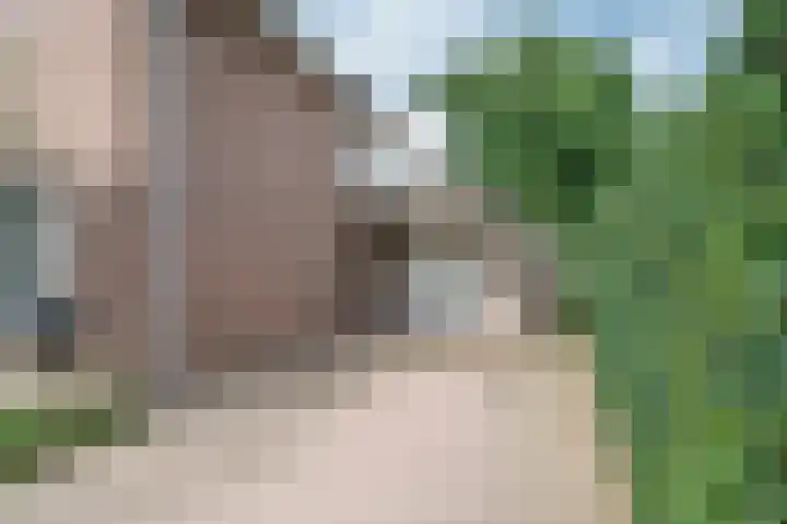 Dionisiusstraat 15 Oirlo thumbnail 50