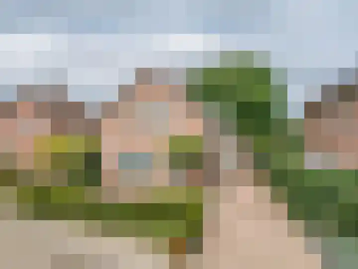 Dionisiusstraat 15 Oirlo thumbnail 53