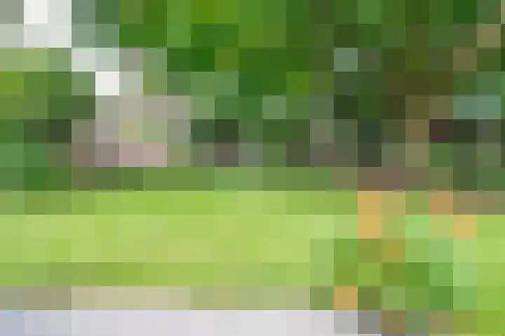Dionisiusstraat 15 Oirlo thumbnail 6