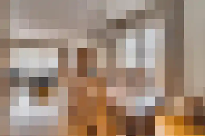 Dionisiusstraat 15 Oirlo thumbnail 8