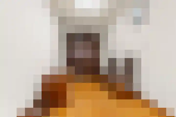 Dionisiusstraat 6 Heijen thumbnail 10