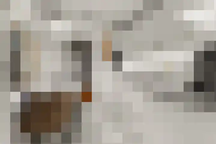 Dionisiusstraat 6 Heijen thumbnail 12