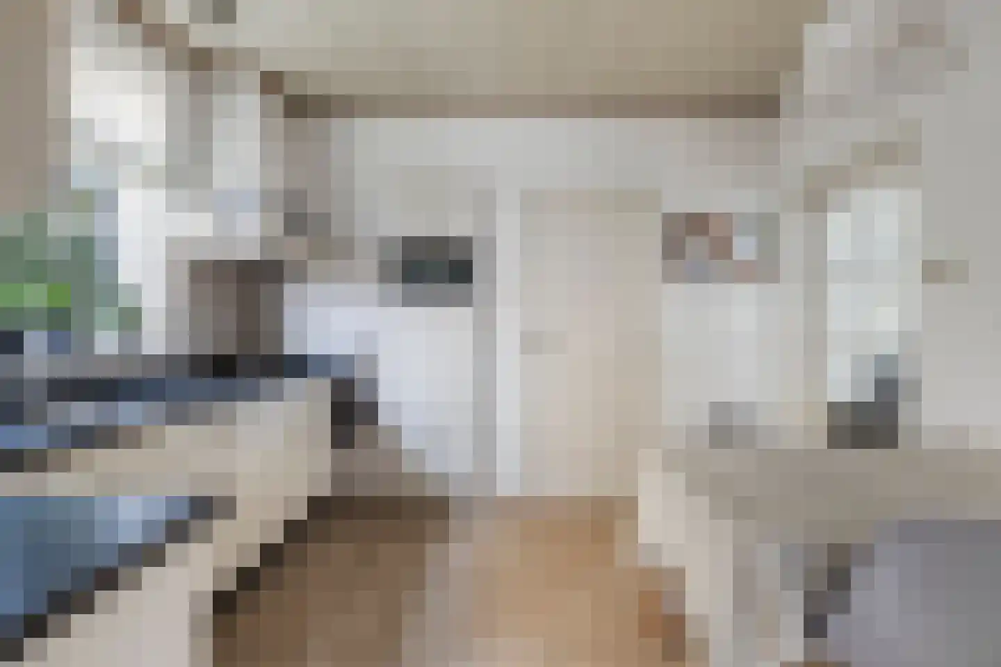 Dionisiusstraat 7 Heijen thumbnail 15