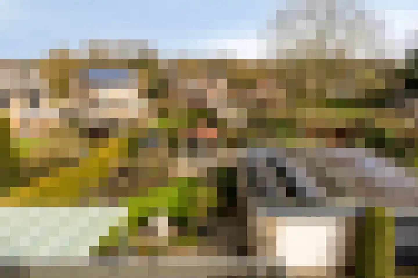 Dionisiusstraat 7 Heijen thumbnail 38