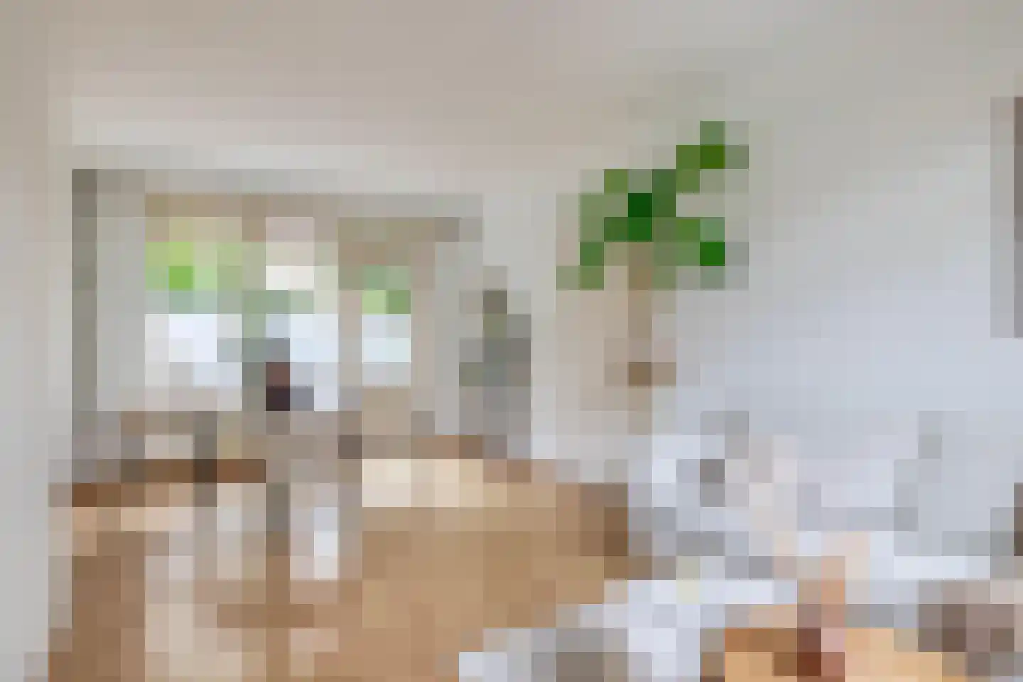 Dionysius de Karthuizerstraat 12 Eindhoven thumbnail 12