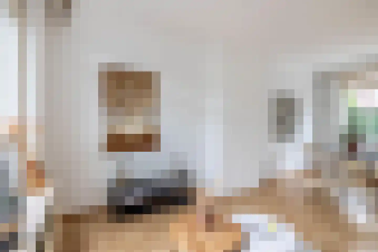 Dionysius de Karthuizerstraat 12 Eindhoven thumbnail 14