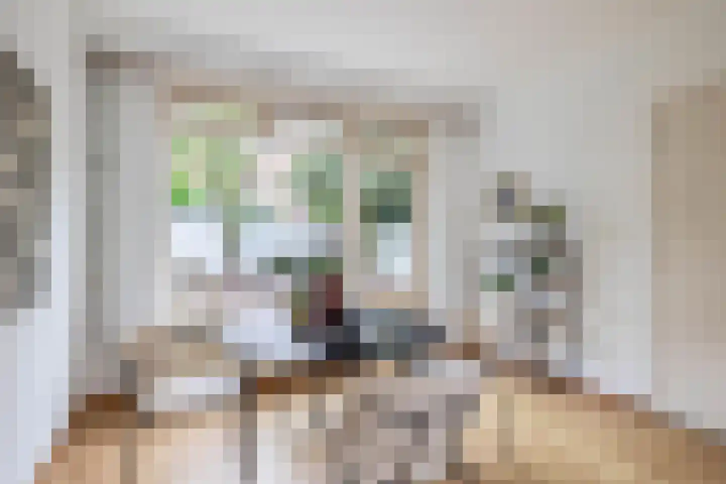 Dionysius de Karthuizerstraat 12 Eindhoven thumbnail 16