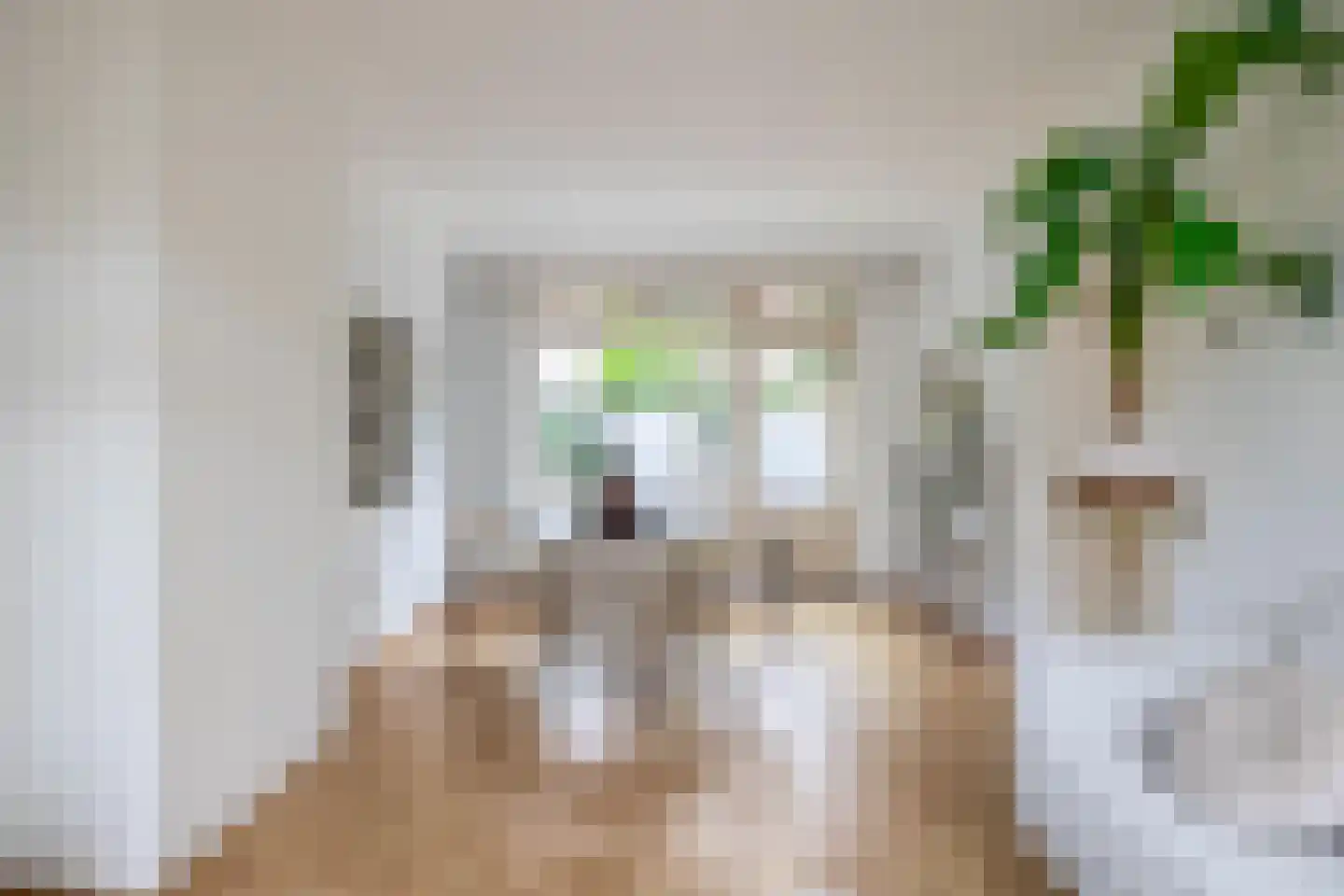 Dionysius de Karthuizerstraat 12 Eindhoven thumbnail 17