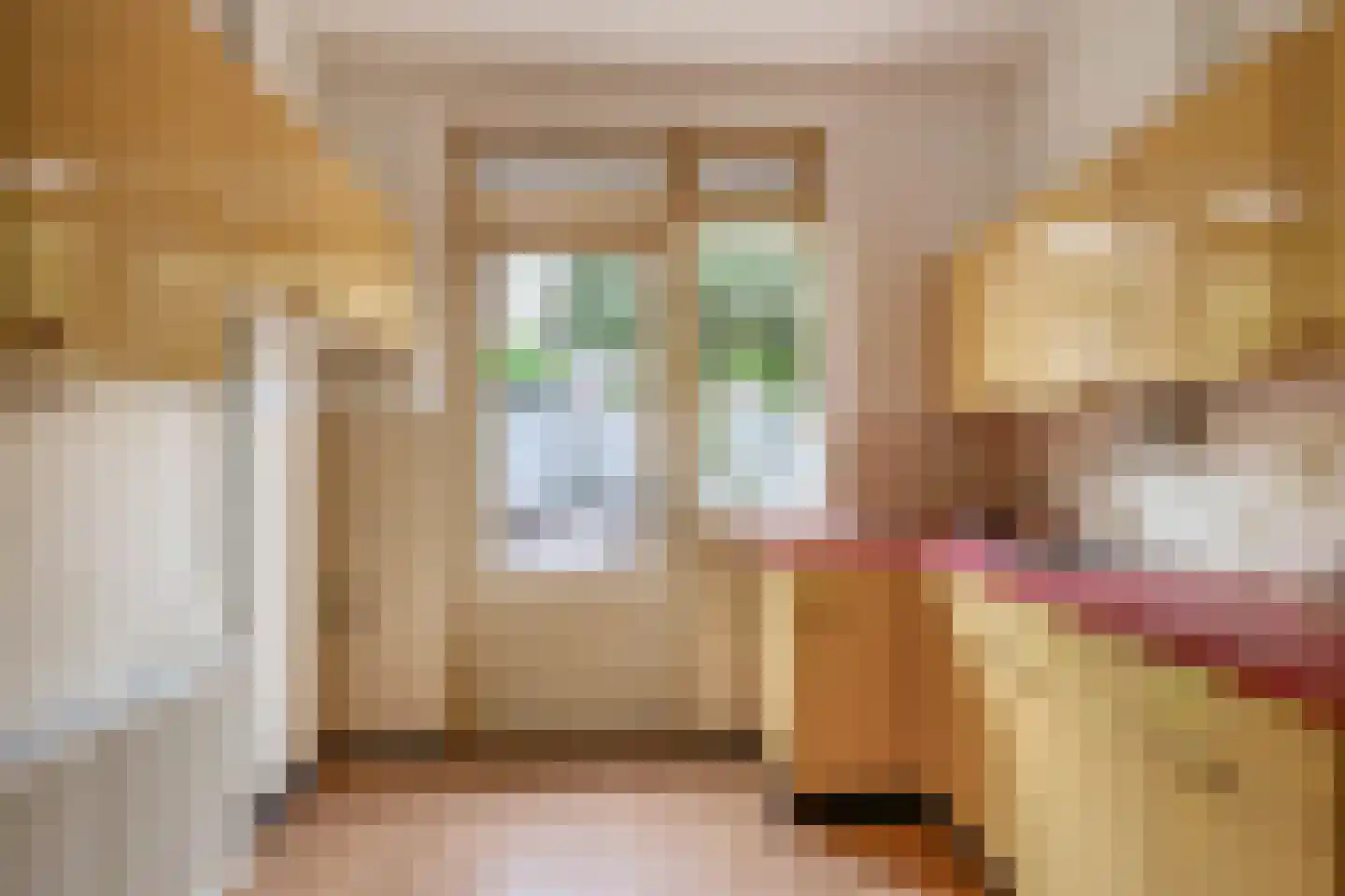 Dionysius de Karthuizerstraat 12 Eindhoven thumbnail 19