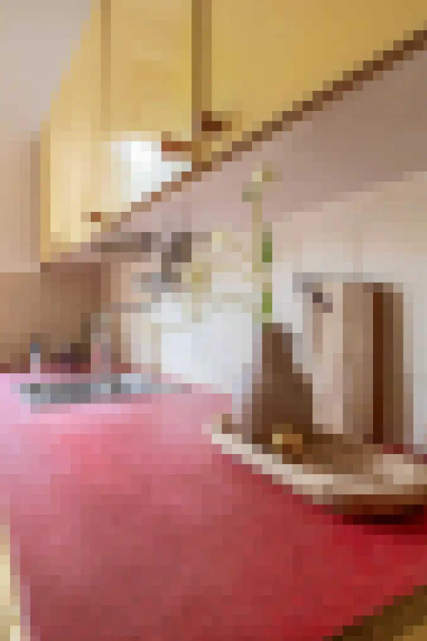Dionysius de Karthuizerstraat 12 Eindhoven thumbnail 20
