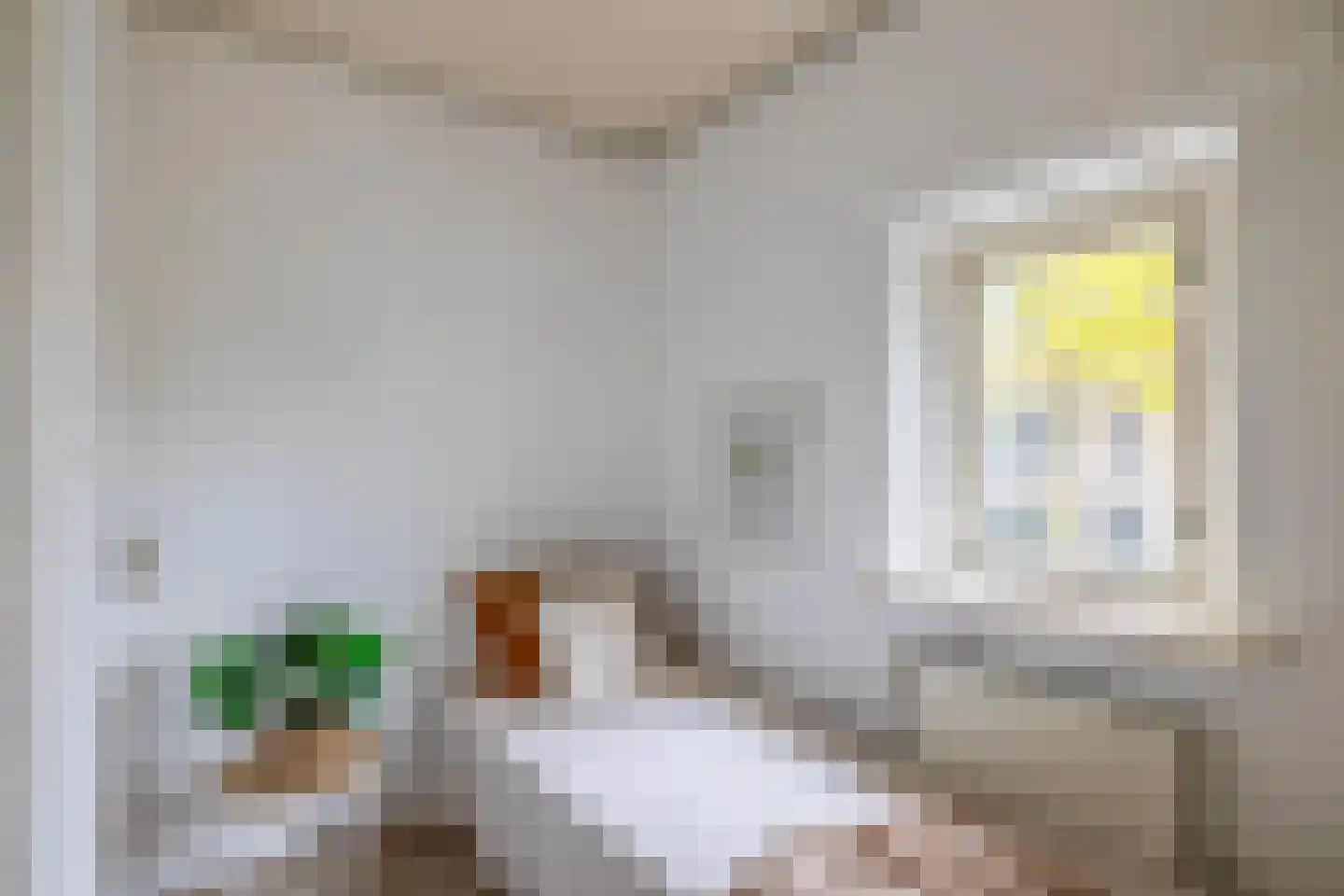 Dionysius de Karthuizerstraat 12 Eindhoven thumbnail 24