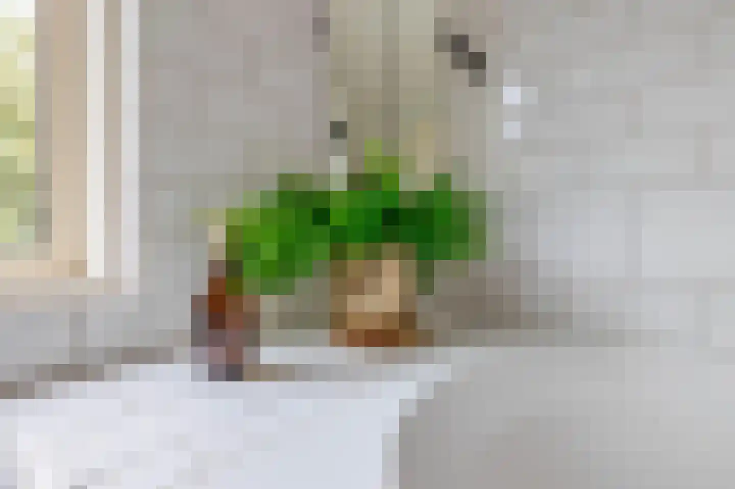 Dionysius de Karthuizerstraat 12 Eindhoven thumbnail 27