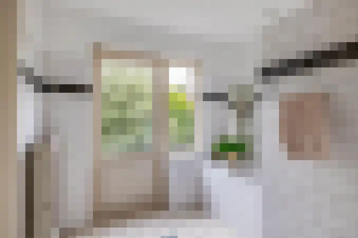 Dionysius de Karthuizerstraat 12 Eindhoven thumbnail 30