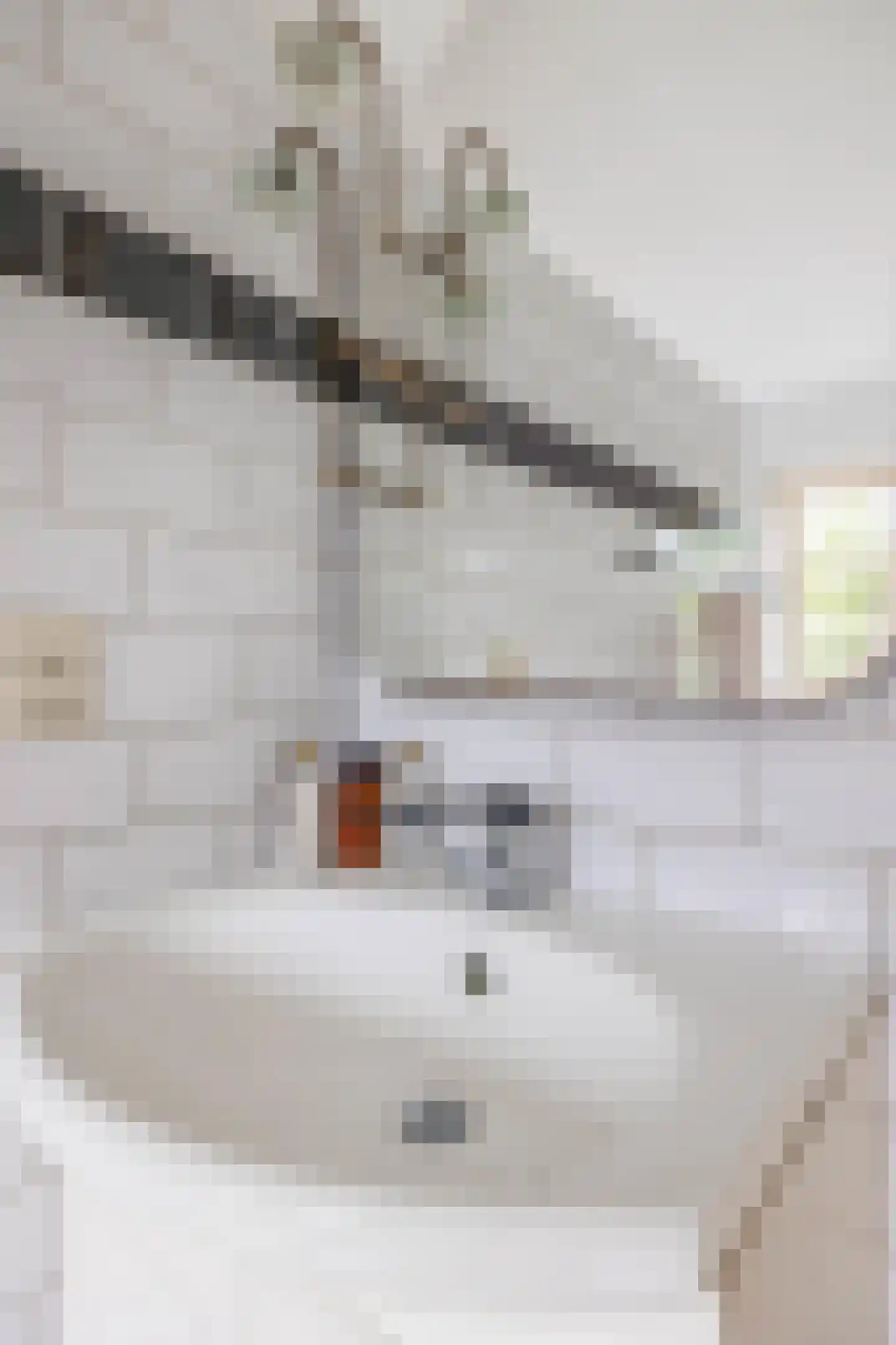 Dionysius de Karthuizerstraat 12 Eindhoven thumbnail 32