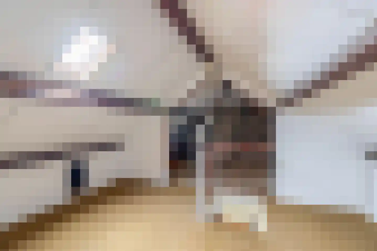 Dionysius de Karthuizerstraat 12 Eindhoven thumbnail 34