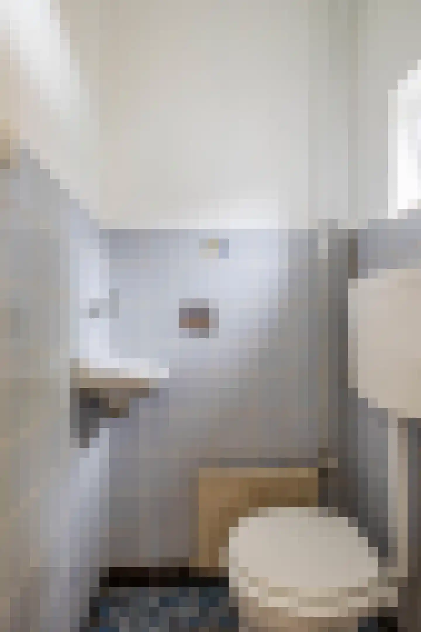 Dionysius de Karthuizerstraat 12 Eindhoven thumbnail 9