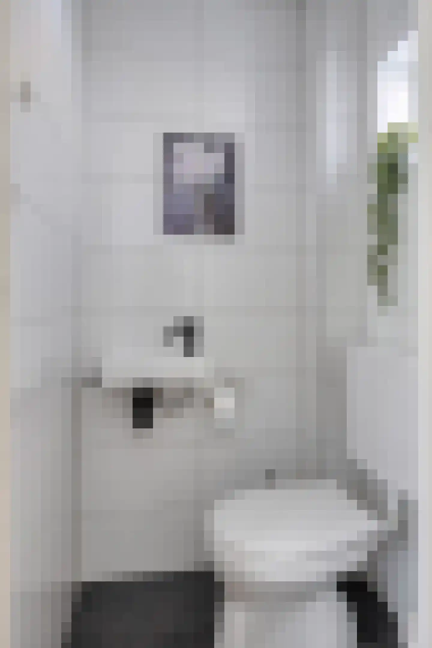 Dionysius de Karthuizerstraat 24 Eindhoven thumbnail 14