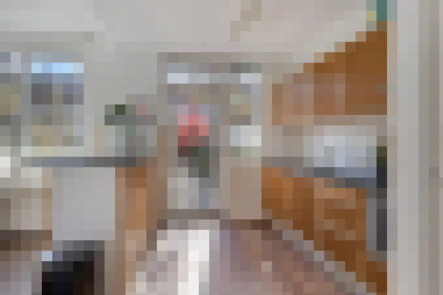 Dionysius de Karthuizerstraat 24 Eindhoven thumbnail 15