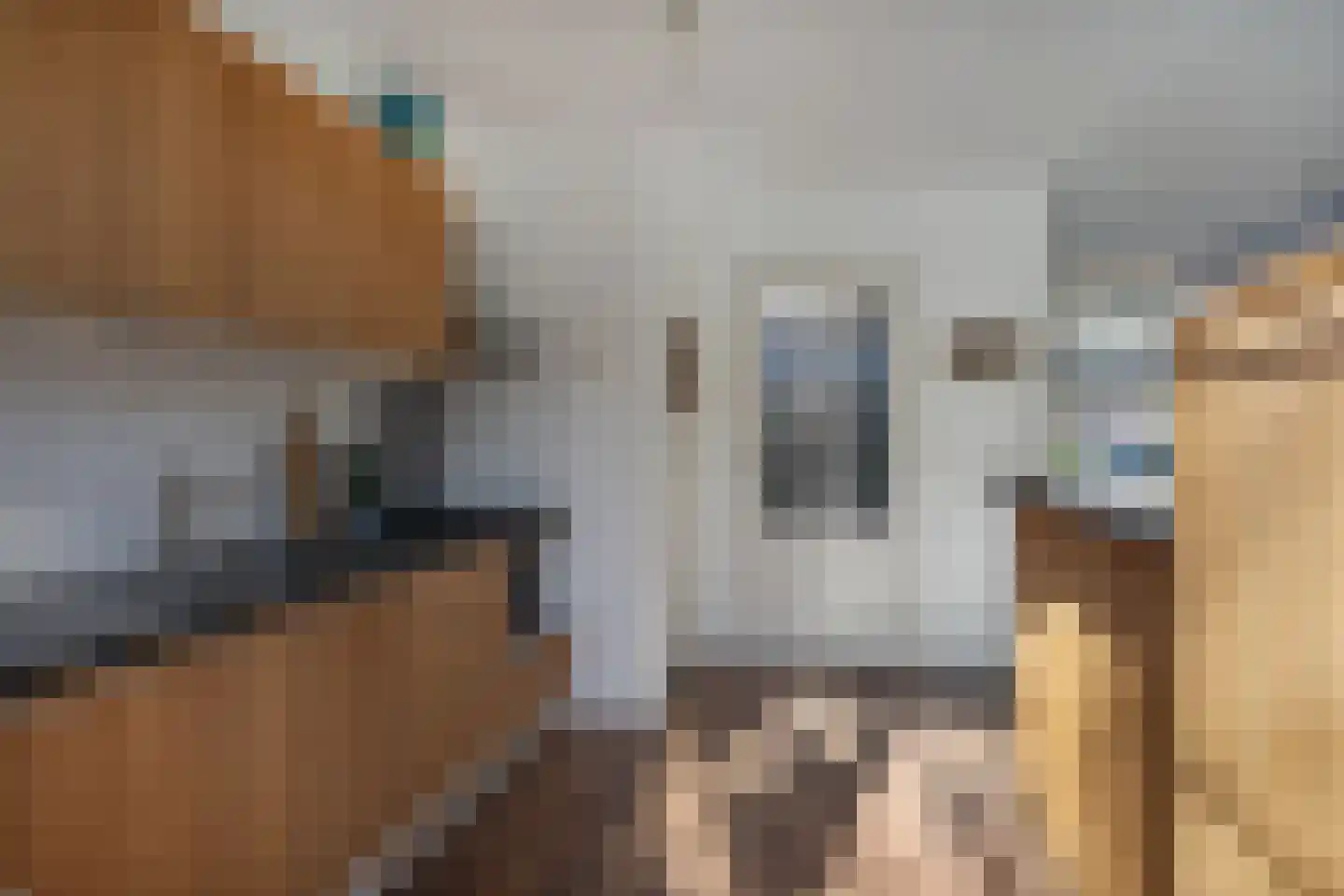 Dionysius de Karthuizerstraat 24 Eindhoven thumbnail 16