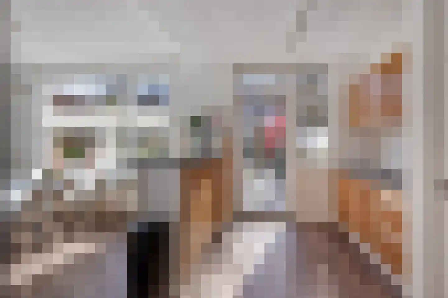 Dionysius de Karthuizerstraat 24 Eindhoven thumbnail 17