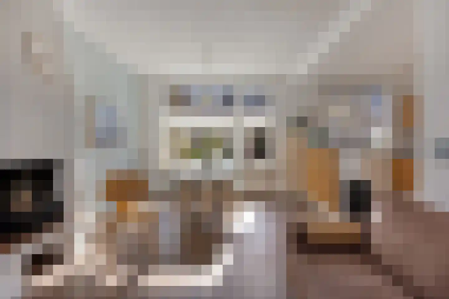 Dionysius de Karthuizerstraat 24 Eindhoven thumbnail 20