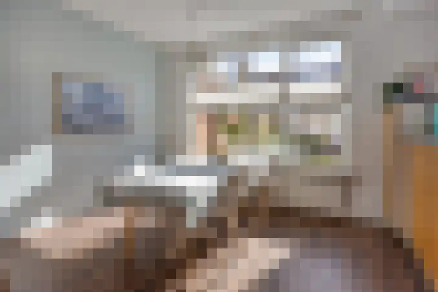 Dionysius de Karthuizerstraat 24 Eindhoven thumbnail 21