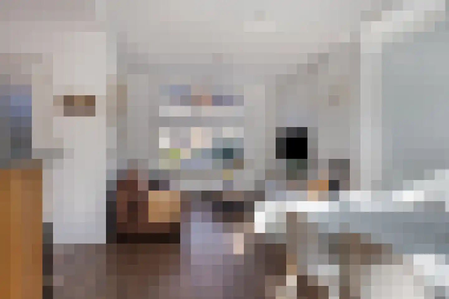 Dionysius de Karthuizerstraat 24 Eindhoven thumbnail 22