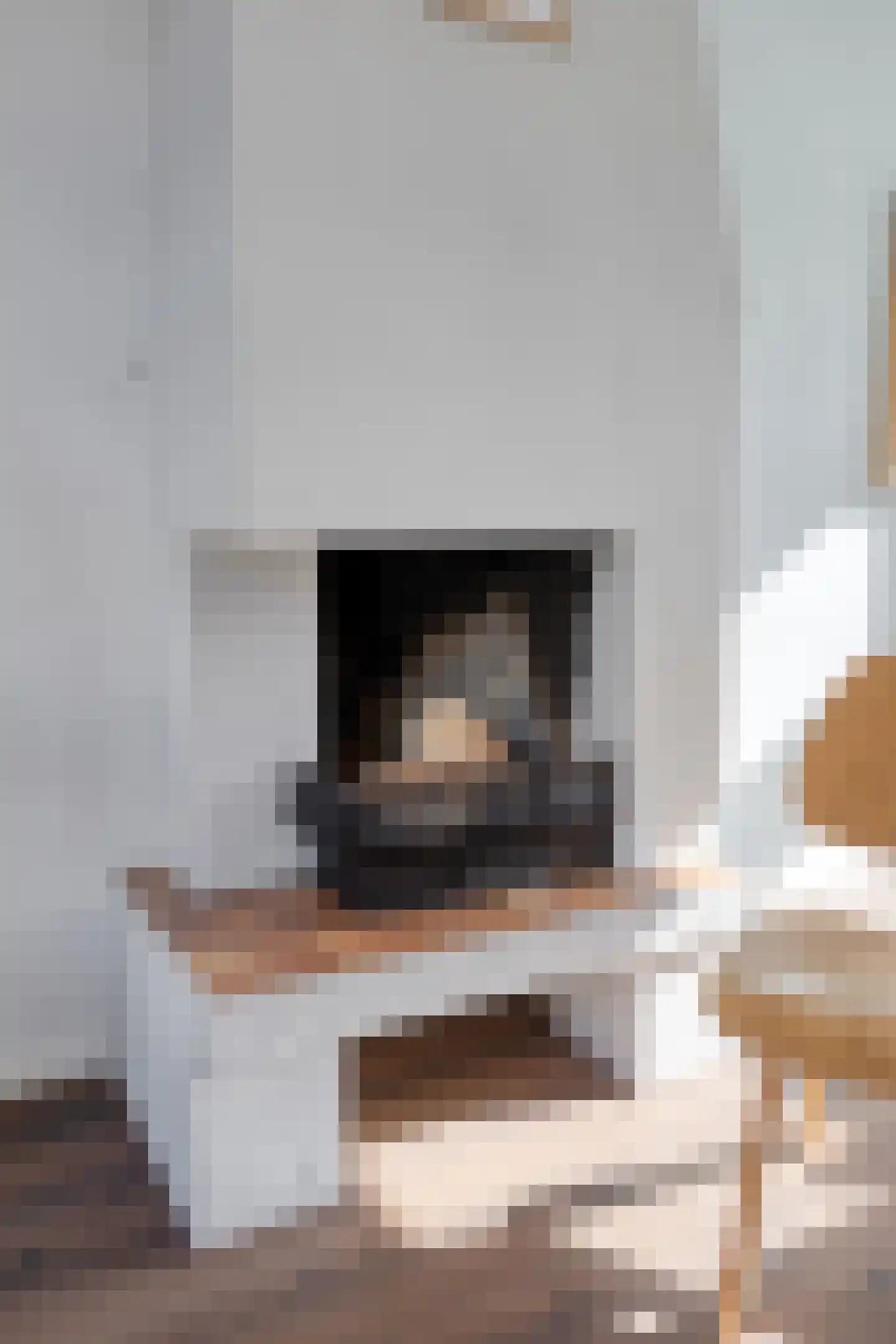 Dionysius de Karthuizerstraat 24 Eindhoven thumbnail 23
