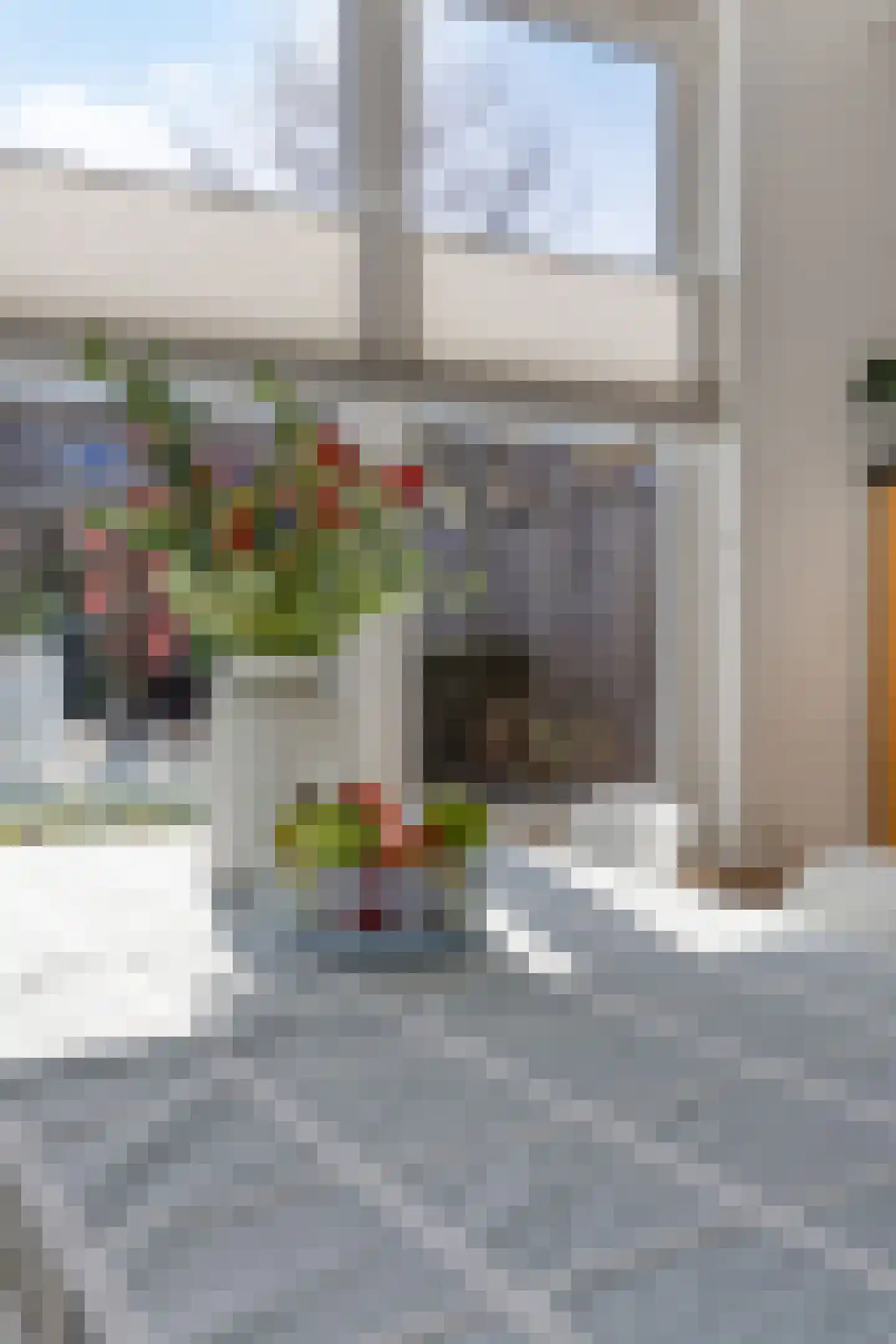 Dionysius de Karthuizerstraat 24 Eindhoven thumbnail 24