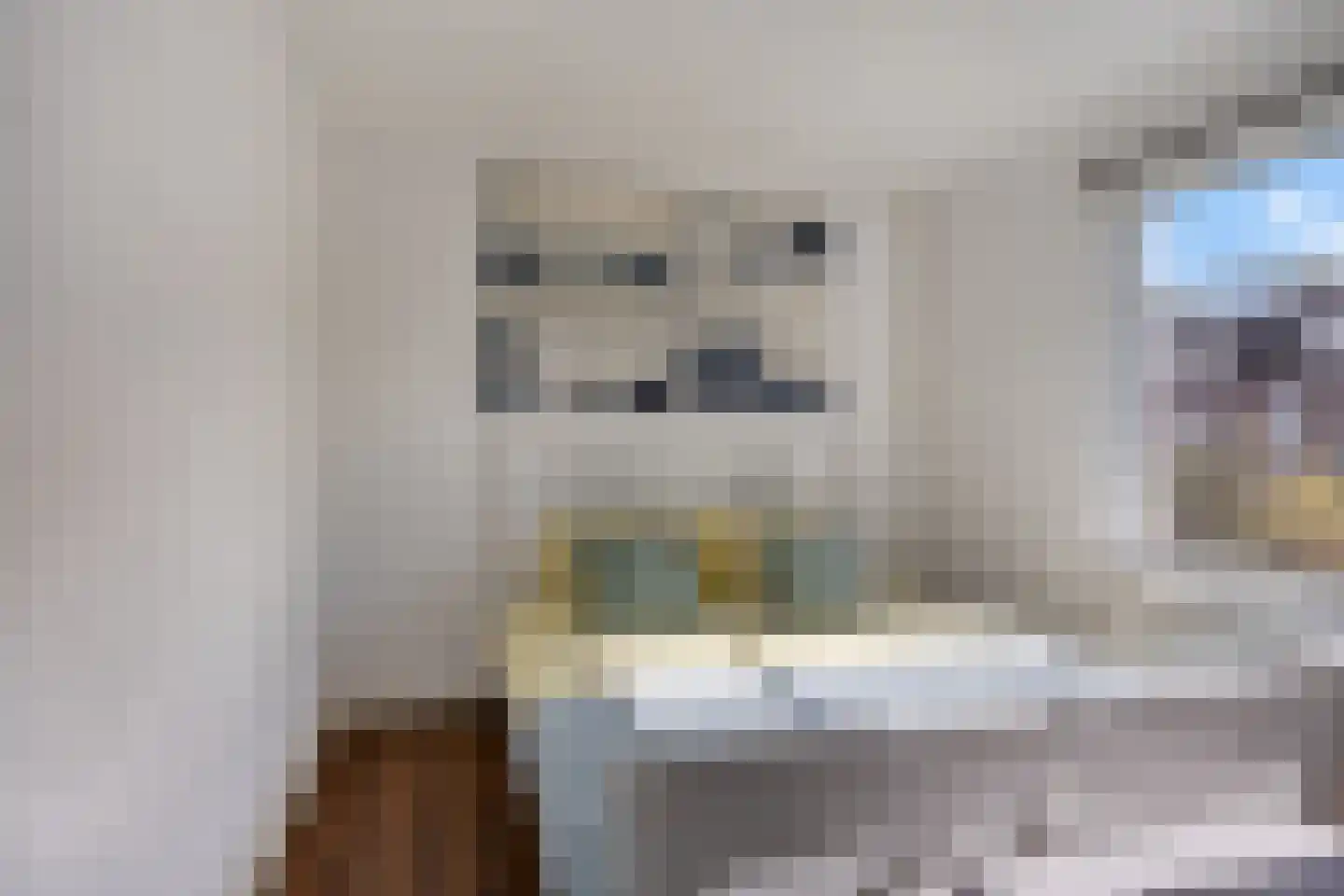 Dionysius de Karthuizerstraat 24 Eindhoven thumbnail 27
