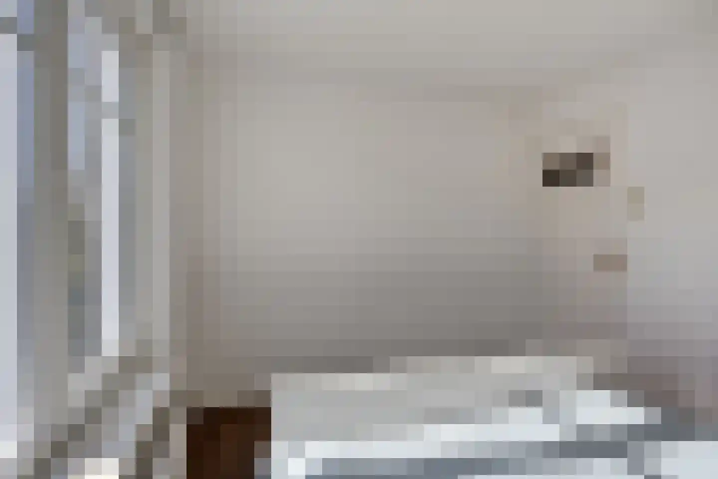 Dionysius de Karthuizerstraat 24 Eindhoven thumbnail 28