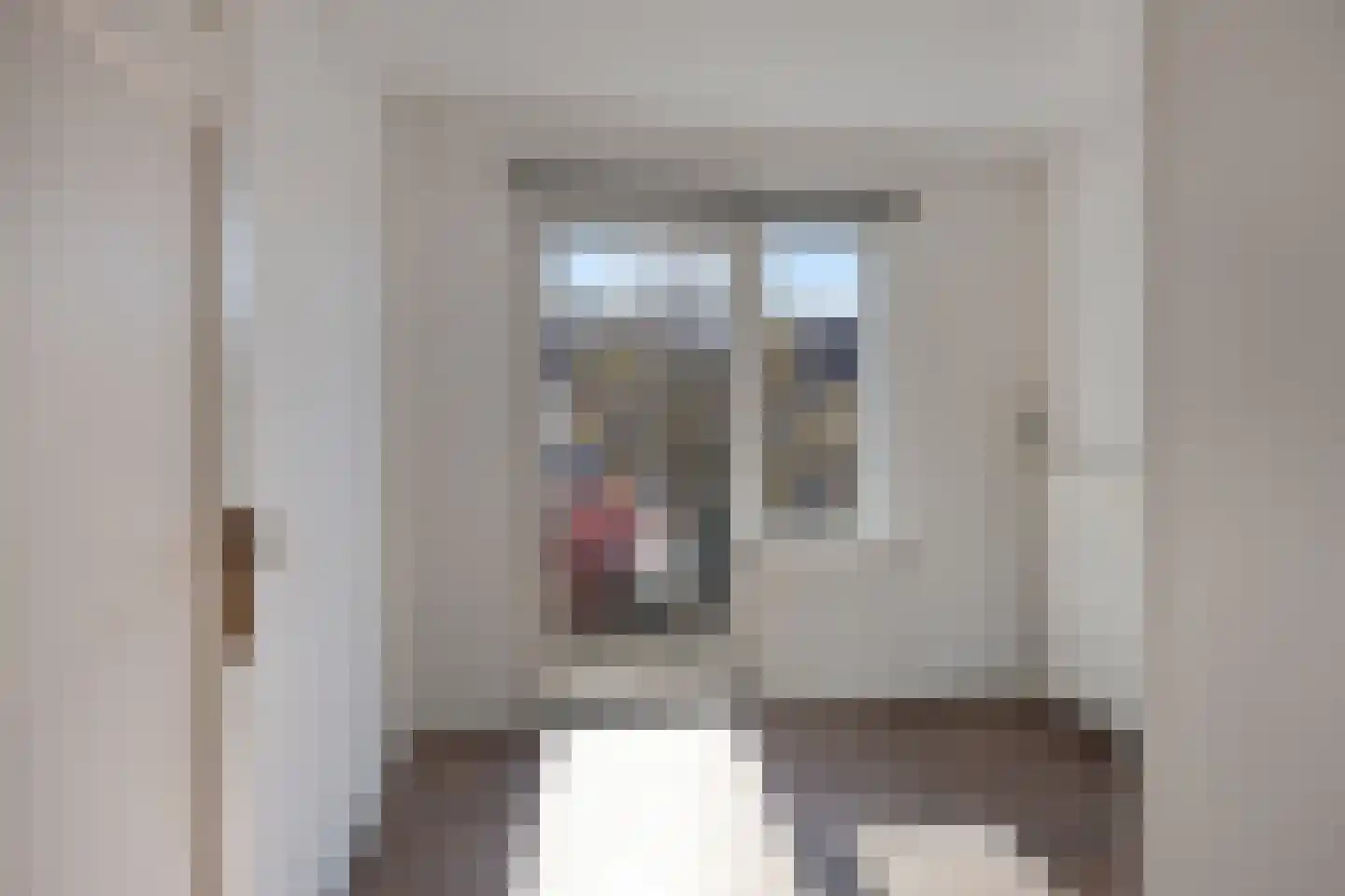 Dionysius de Karthuizerstraat 24 Eindhoven thumbnail 34