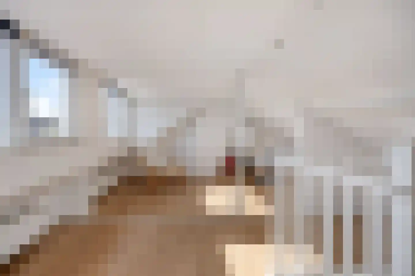 Dionysius de Karthuizerstraat 24 Eindhoven thumbnail 36