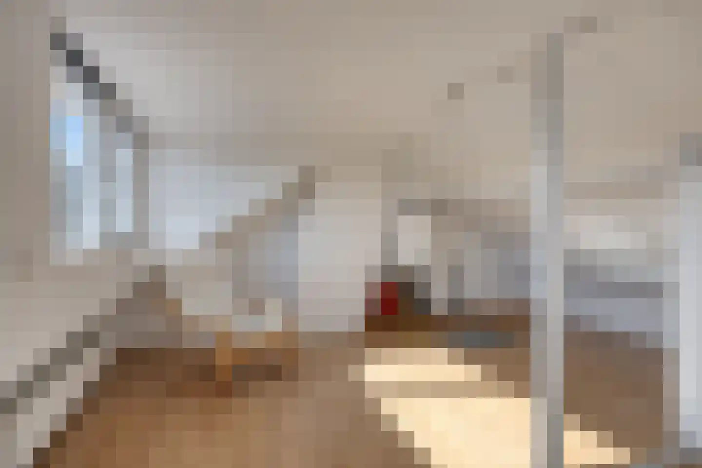 Dionysius de Karthuizerstraat 24 Eindhoven thumbnail 37