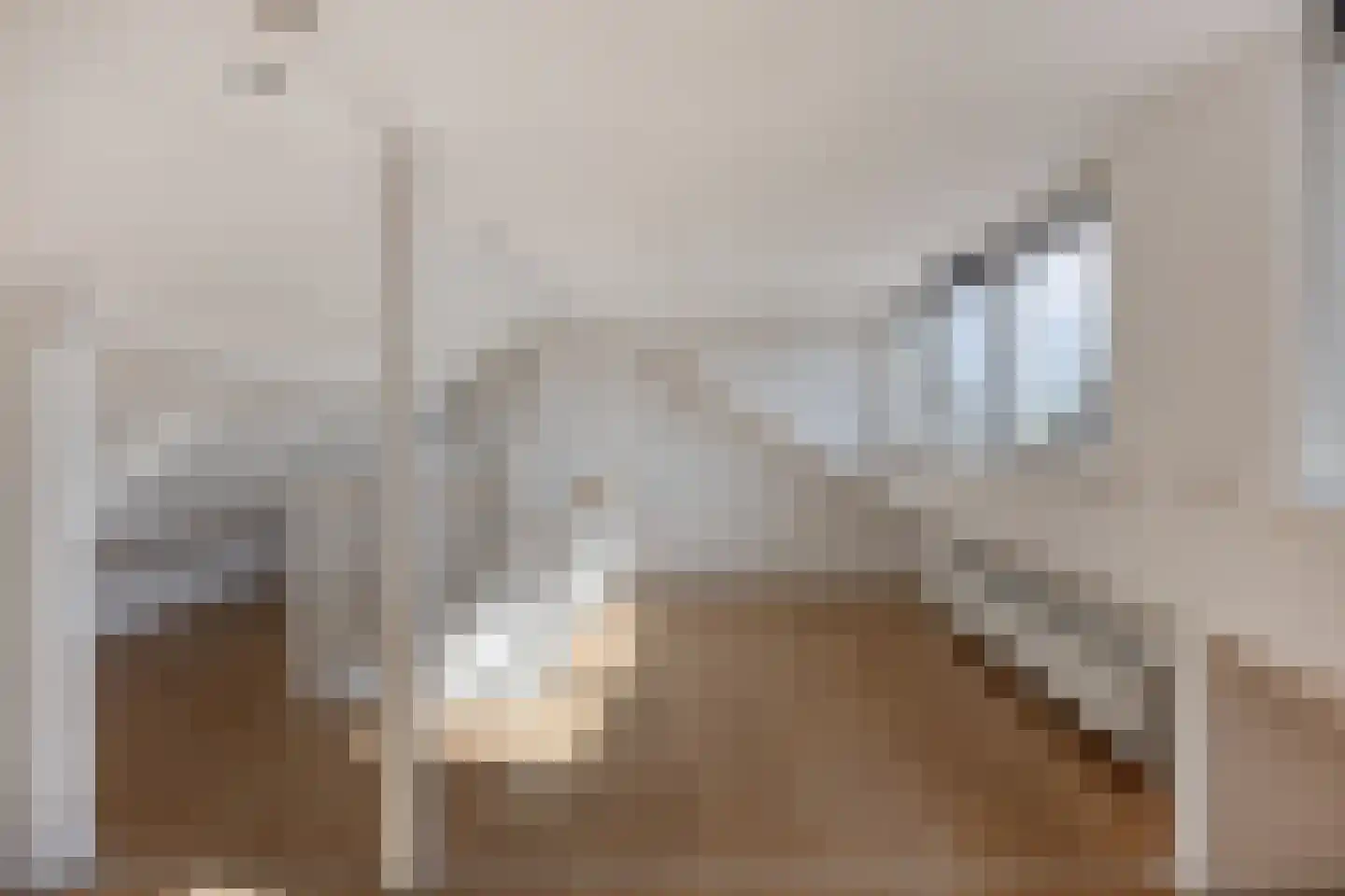 Dionysius de Karthuizerstraat 24 Eindhoven thumbnail 38