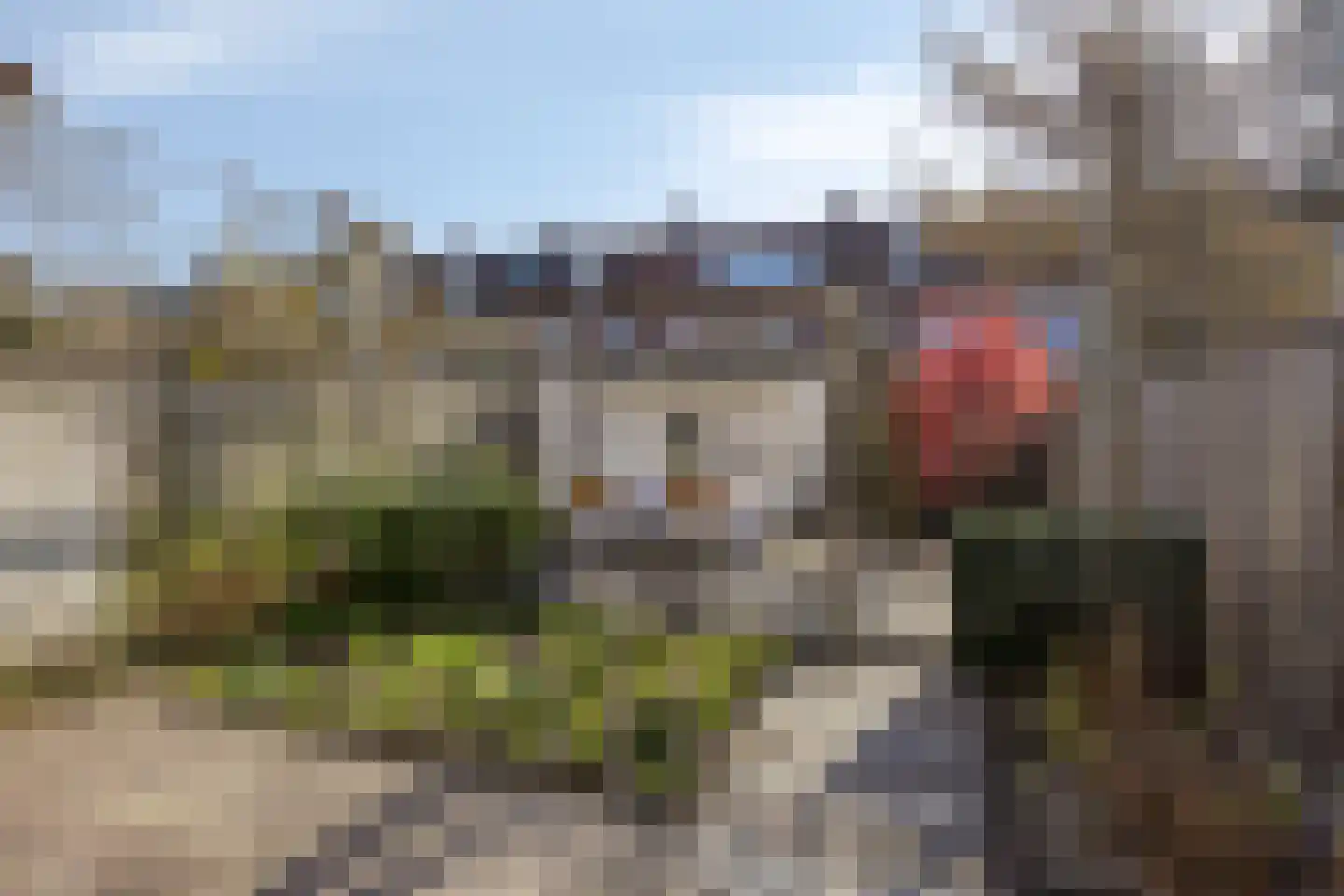 Dionysius de Karthuizerstraat 24 Eindhoven thumbnail 39
