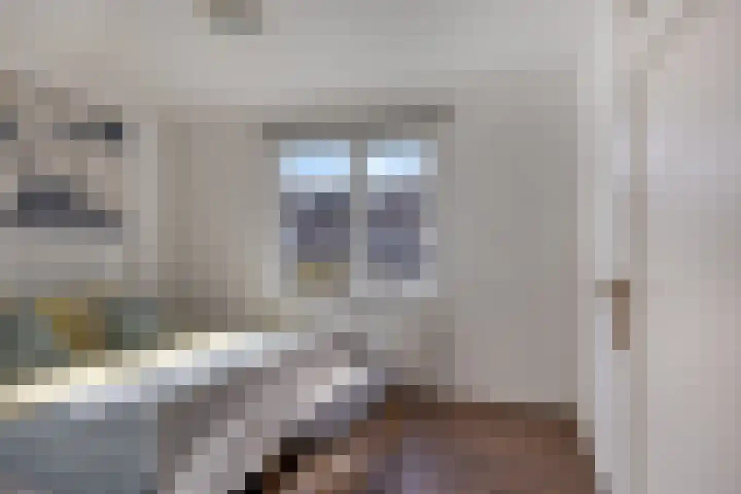 Dionysius de Karthuizerstraat 24 Eindhoven thumbnail 4