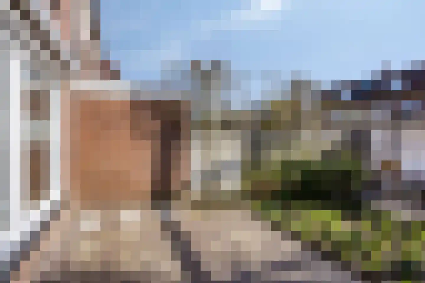 Dionysius de Karthuizerstraat 24 Eindhoven thumbnail 40