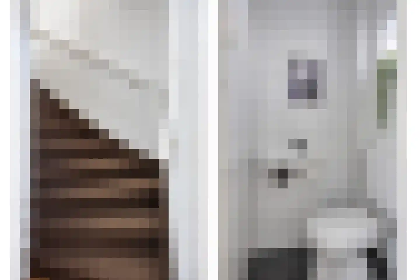 Dionysius de Karthuizerstraat 24 Eindhoven thumbnail 8