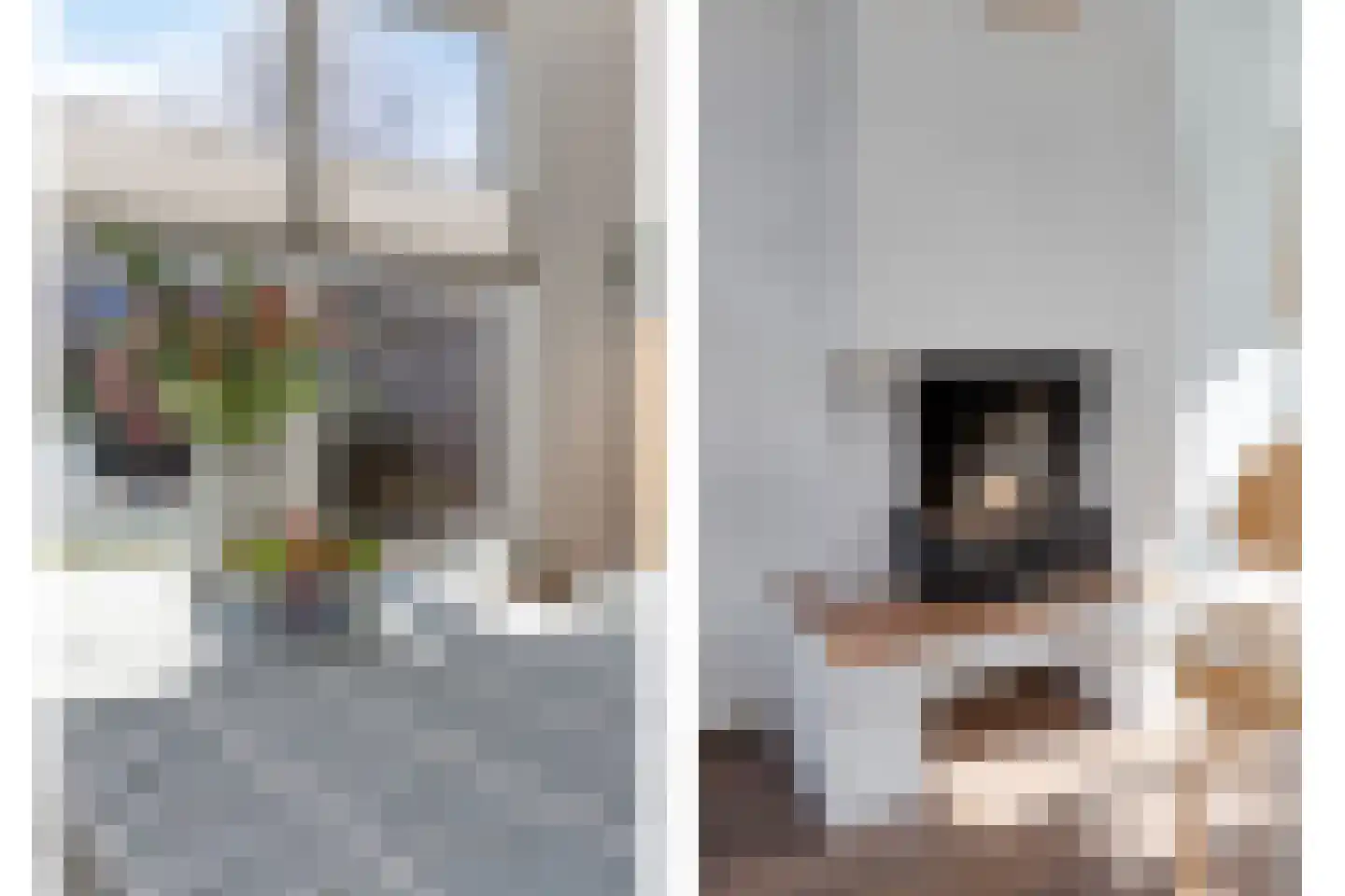 Dionysius de Karthuizerstraat 24 Eindhoven thumbnail 9