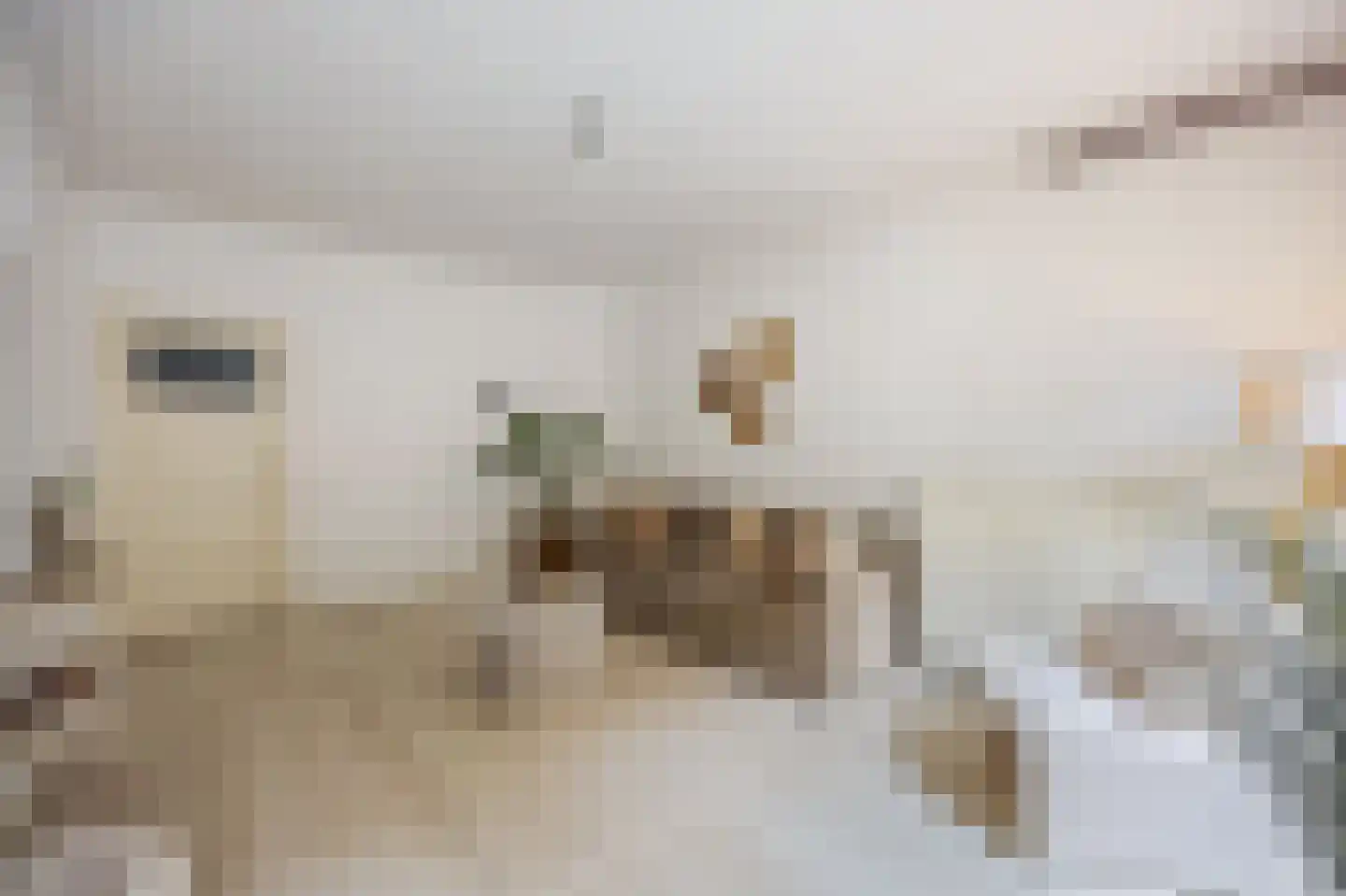 Dionysiusstraat 1 Roermond thumbnail 13